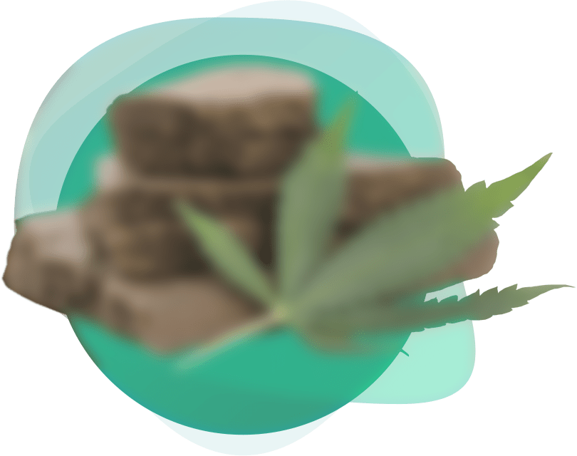 //havoksmoke.com/wp-content/uploads/2020/04/slide_1.png