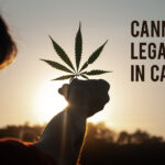 Is cannabis legal in canada? - Havok Smoke