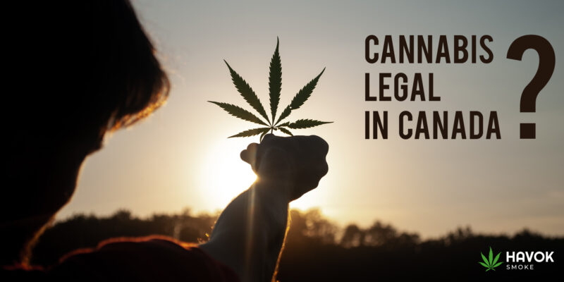 Is cannabis legal in canada? - Havok Smoke