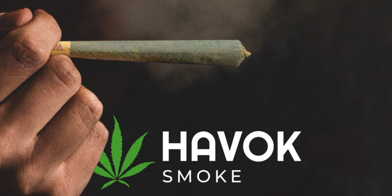 Rolling Papers for Beginners | Person Holding a joint | Person Smoking a joint | Raw Rolling paper | Havok Smoke