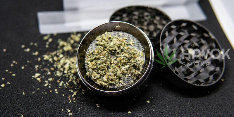 What is a Weed Grinder? "Close-up of a metal weed grinder with cannabis buds next to it."