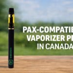 So High Extracts dual chamber pen